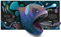 Pop-up Ocean
